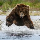 Uživatelský avatar