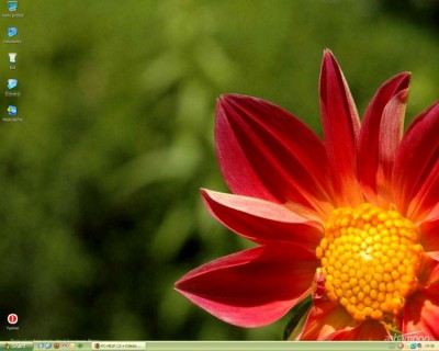 New_Moje plocha2.jpg