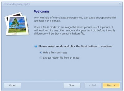 Ultima Steganography.jpg