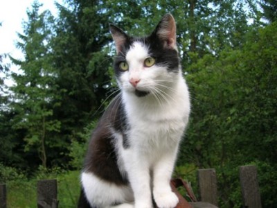 druhý, jeho bratr Ďábel...