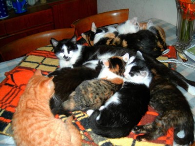 HPIM5496 (1.kopie).jpg