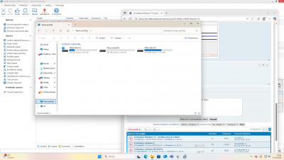 Snímek obrazovky (13).png