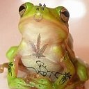 Uživatelský avatar