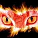 Uživatelský avatar